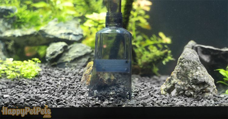 What-is-great-about-how-to-clean-old-aquarium-gravel-with-a-vacuum-is-it-will-not-affect-your-fish-tan