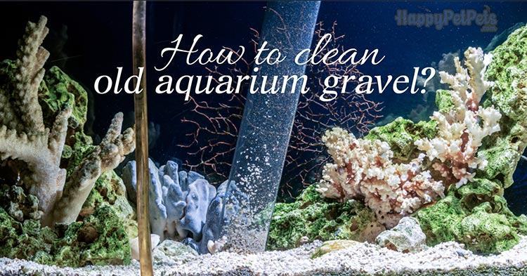 how-to-clean-old-aquarium-gravel