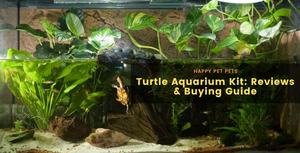 Turtle Aquarium Kit: Reviews And Guide 2024 update