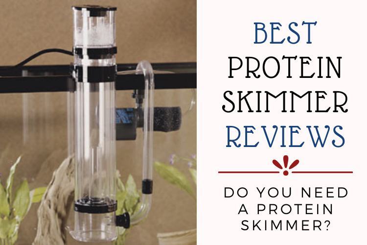best-protein-skimmer-happypetpets