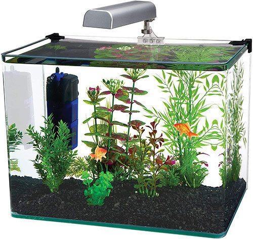 Penn Plax Curved Corner Glass Aquarium Kit