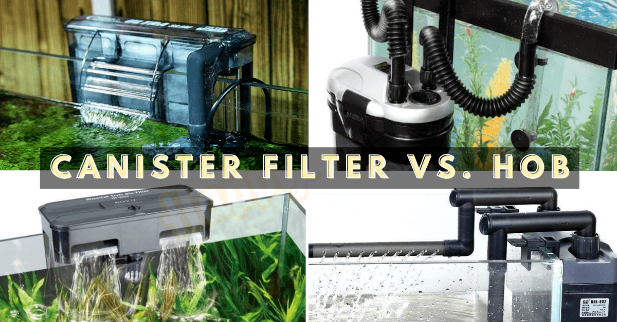 canister filter vs hob