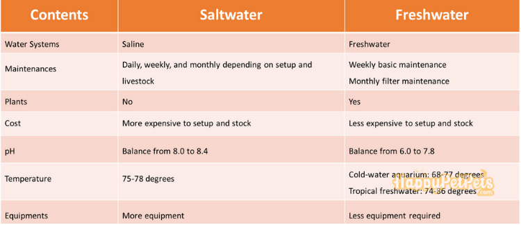 How Are Saltwater and Freshwater Aquariums Different?