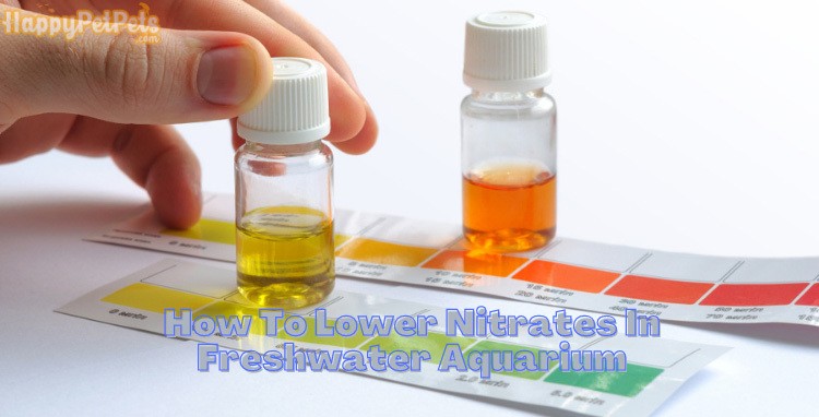 How-To-Lower-Nitrates-In-Freshwater-Aquarium
