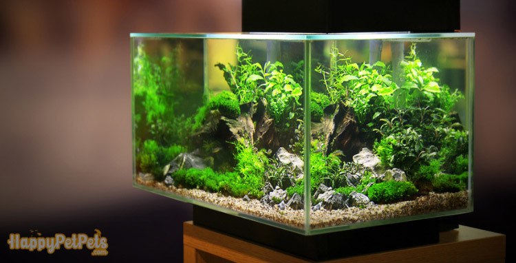 Led-aquarium-light