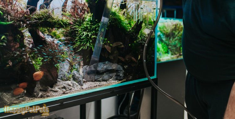 Changing water in aquarium using siphon